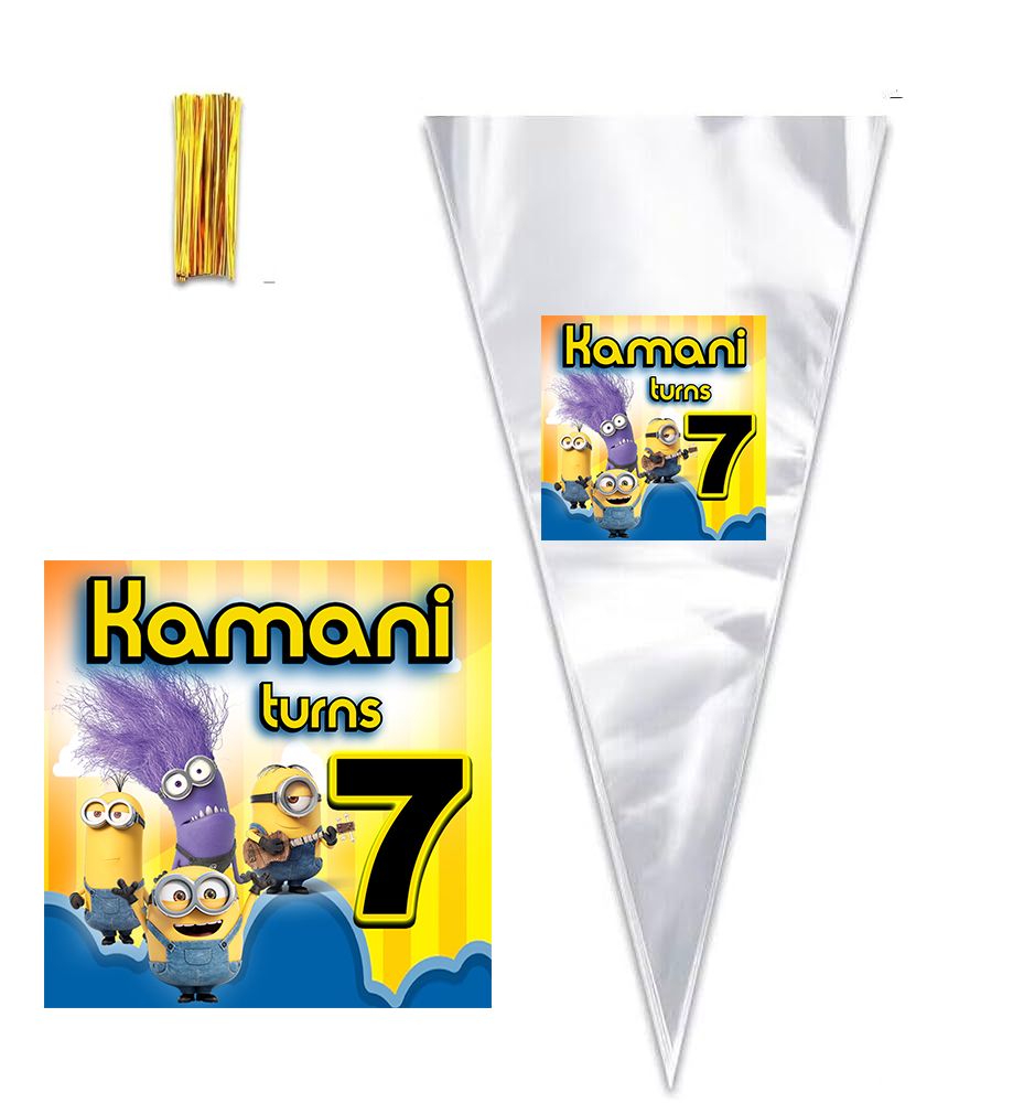 6PCS - Cone shape Clear Bags